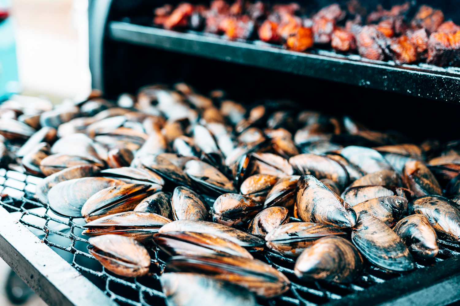 Apollo Bay Seafood Festival
